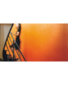 Papel Pintado VP-731-18 - Elitis
