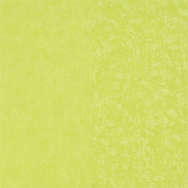 P576-14 KALPANA - LIME