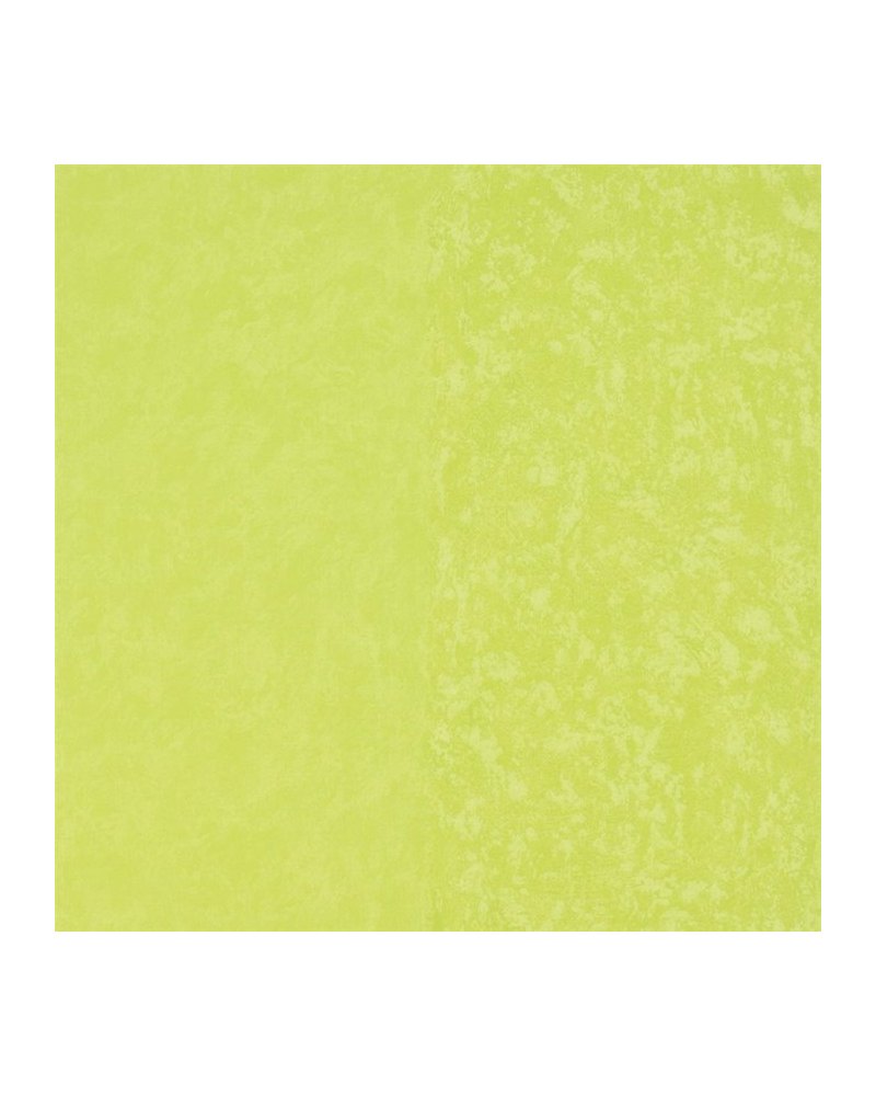 P576-14 KALPANA - LIME