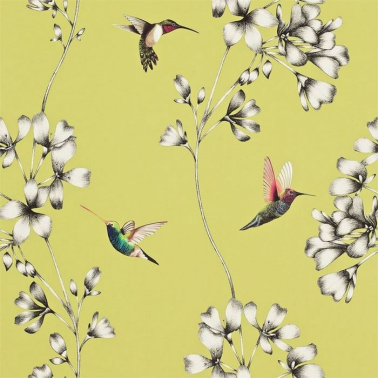 Papel Pintado HAMA111061 AMAZILIA - Harlequin