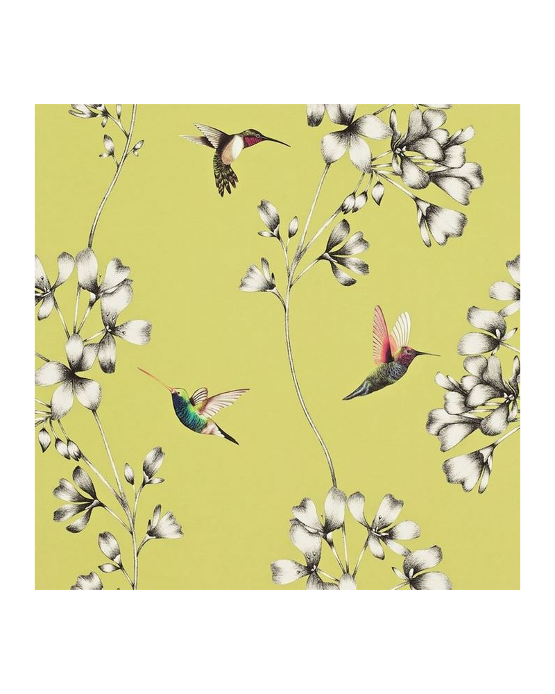 Papel Pintado HAMA111061 AMAZILIA - Harlequin