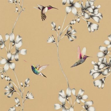 Papel Pintado HAMA111063 AMAZILIA - Harlequin