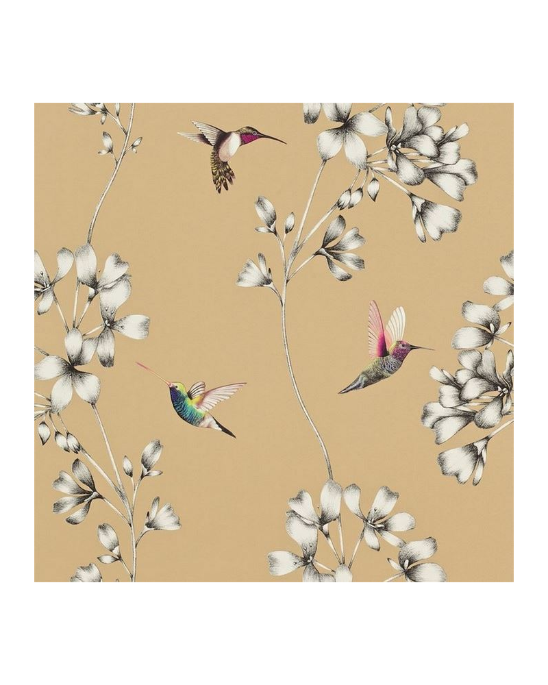 Papel Pintado HAMA111063 AMAZILIA - Harlequin