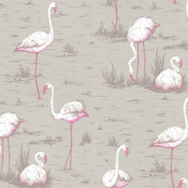 Flamingos 66-6042