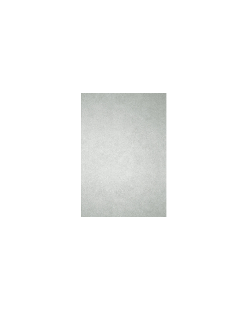 Papel Pintado MAKO W6303-03 - OSBORNE and LITTLE Papel Pintado MAKO W6303-03 - OSBORNE and LITTLE