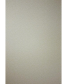 Papel Pintado W6491-04 ORIOLE - OSBORNE and LITTLE