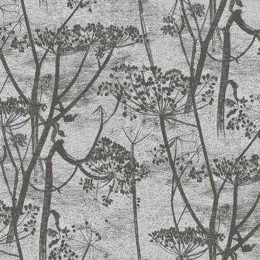 Papel Pintado Cow Parsley 95-9050 - COLE and SON