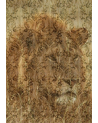 Papel Pintado RC12069 - ROBERTO CAVALLI