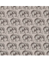 HAMA120345-savanna-elephant
