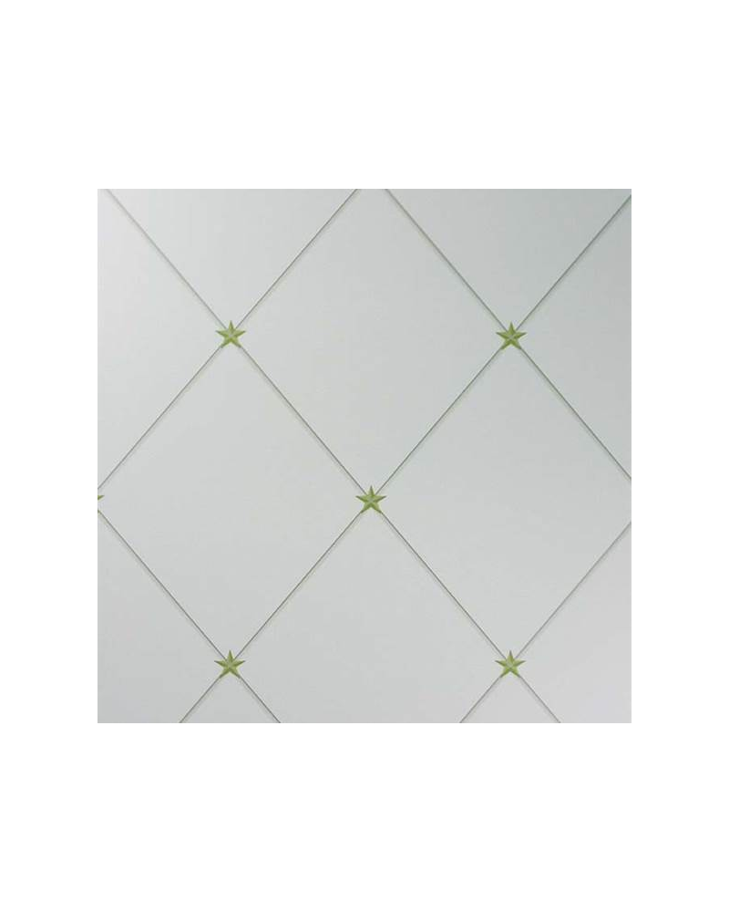 Papel Pintado NCW4151-04_torosay - NINA CAMPBELL