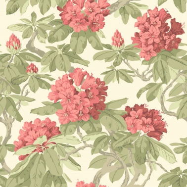 Papel Pintado Bourlie 99-4020 - COLE and SON