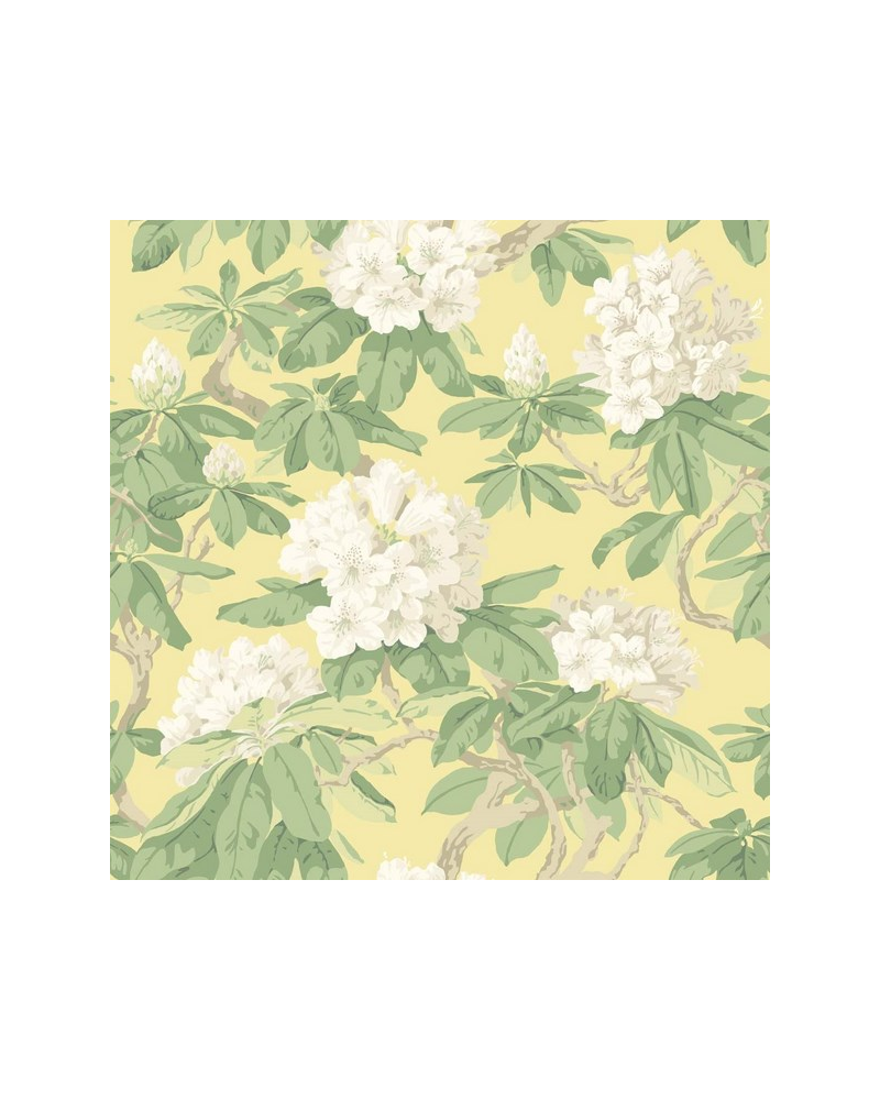 Papel Pintado Bourlie 99-4021 - COLE and SON Papel Pintado Bourlie 99-4021 - COLE and SON