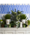 Papel Pintado Parterre Border 99-3012 - COLE and SON