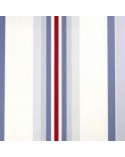 Stripe Blue 2000170