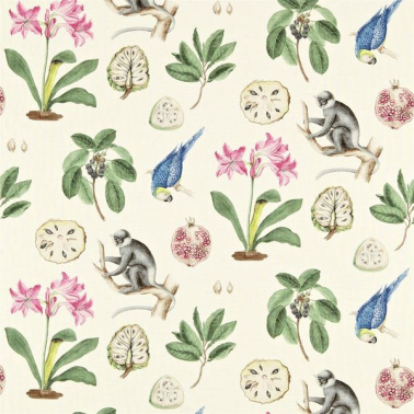 CAPUCHINS DVOY223273-chintz