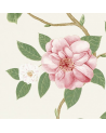 Papel Pintado CHRISTABEL DVOY213374-coral ivory - Sanderson