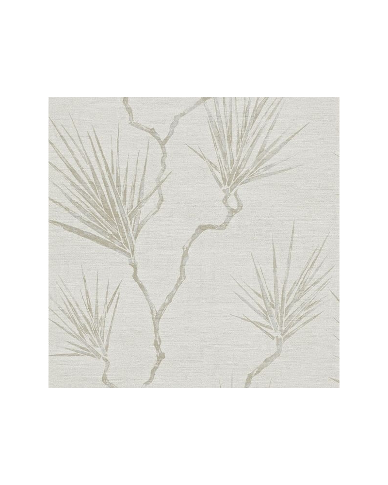 EREE110821-peninsula palm-parchment