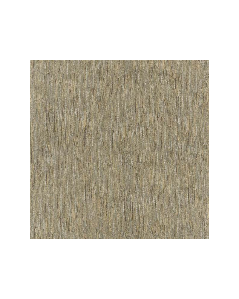 Papel Pintado PDG644-05 DHARI BIRCH - Designers Guild