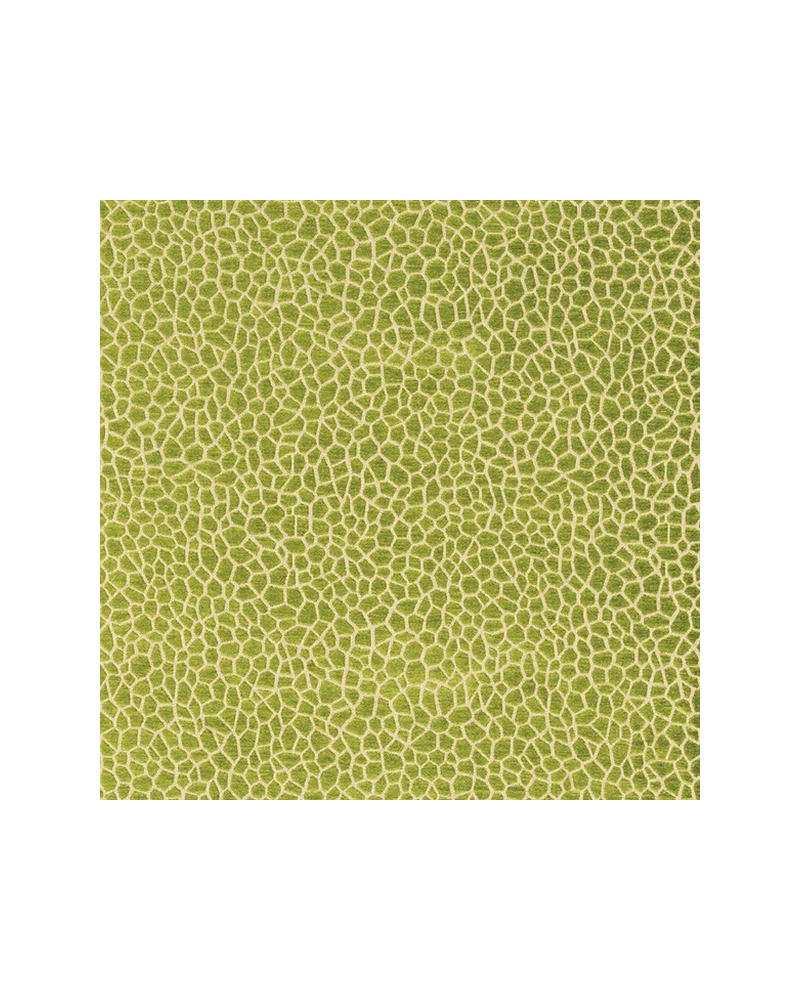 Tela F6632-01-kairi MATTHEW WILLIAMSON