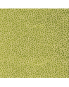 Tela F6632-01-kairi MATTHEW WILLIAMSON