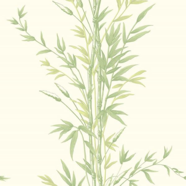 Papel Pintado Bamboo 100-5023 - COLE and SON