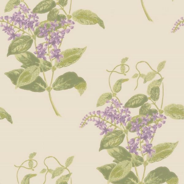 Madras Violet 100-12056