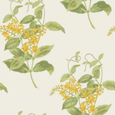 Papel Pintado Madras Violet 100-12059 - COLE and SON
