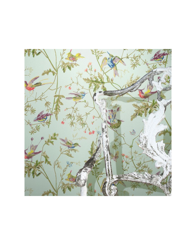 Papel Pintado Hummingbirds 100-14070 - COLE and SON