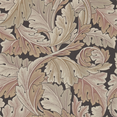 ACANTHUS DARW212551