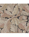 ACANTHUS DARW212551