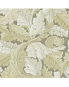 ACANTHUS DARW212552