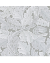 ACANTHUS DARW212553