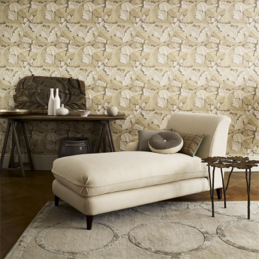 ACANTHUS DARW212553