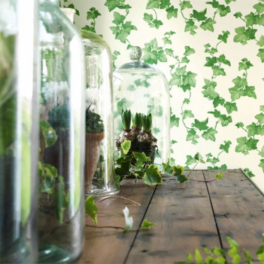 HEDERA DVIN224336-green