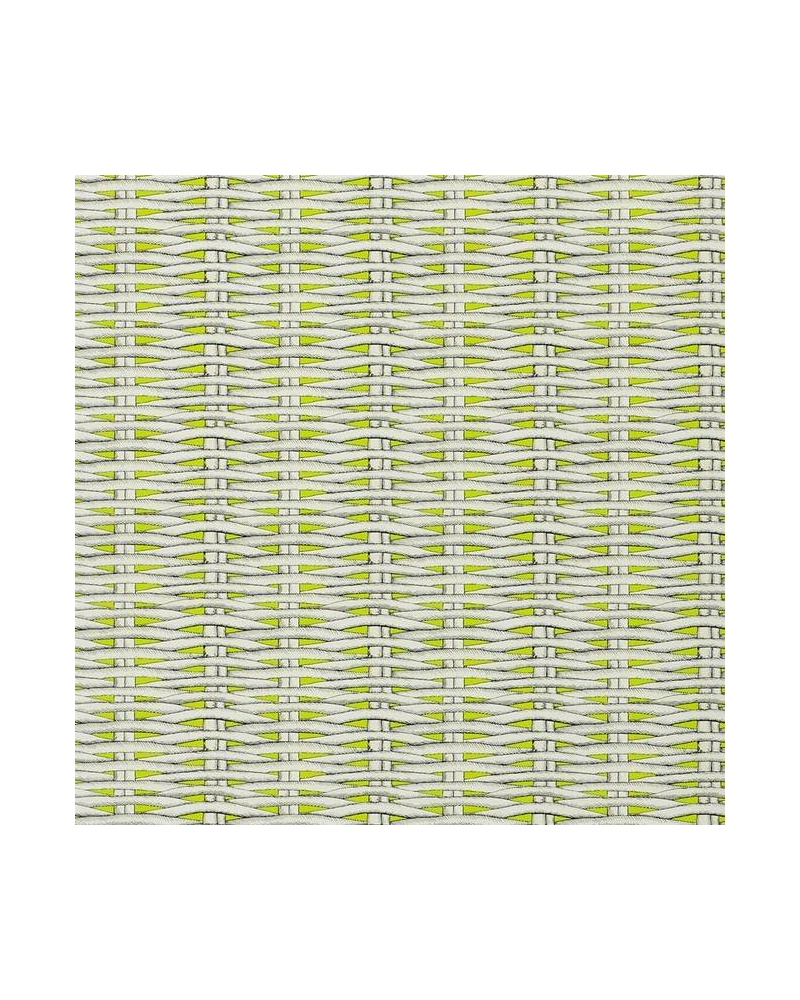 Papel Pintado PCL664-05 BARBADE - LIME - CHRISTIAN LACROIX Papel Pintado PCL664-05 BARBADE - LIME - CHRISTIAN LACROIX