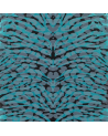 PCL665-02 PANTIGRE - TURQUOISE