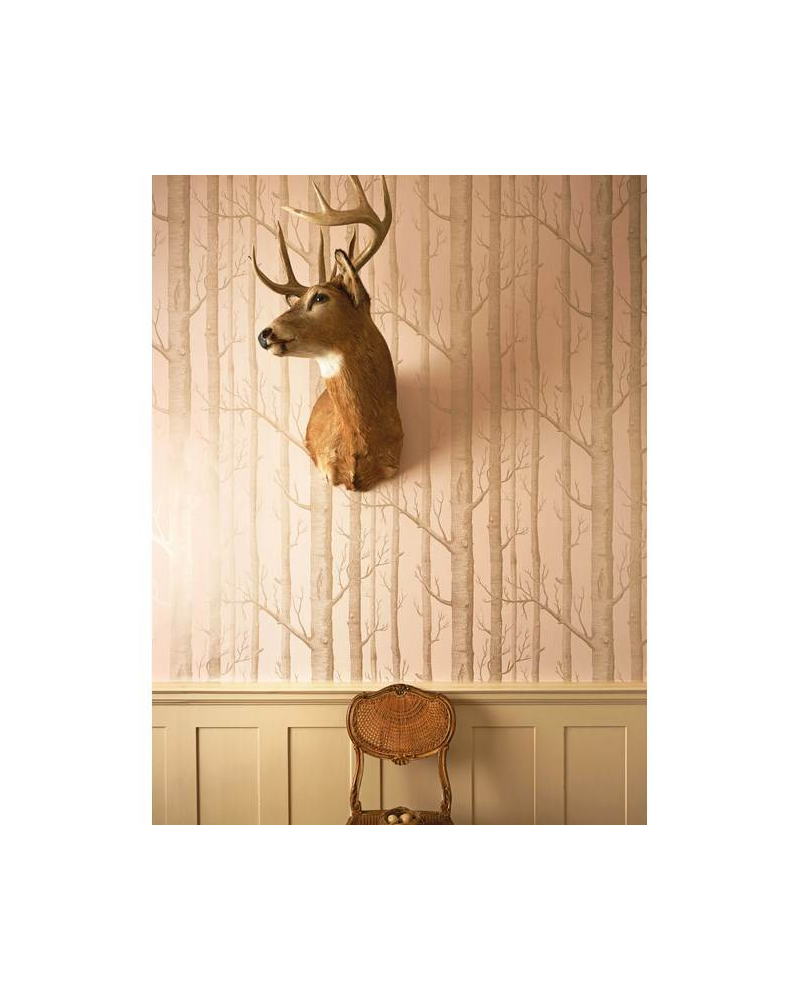 Papel Pintado Woods 103-5023 - COLE and SON