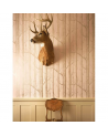 Papel Pintado Woods 103-5023 - COLE and SON