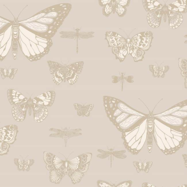 Papel Pintado Butterflies and  Dragonflies 103-15064 - COLE and SON