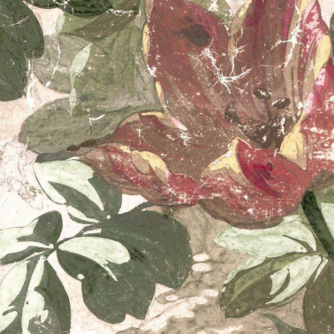 Papel Pintado Lady Roxana 23015-001 - RUBELLI