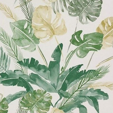 Papel Pintado Jungle - 4800021 - COORDONNE