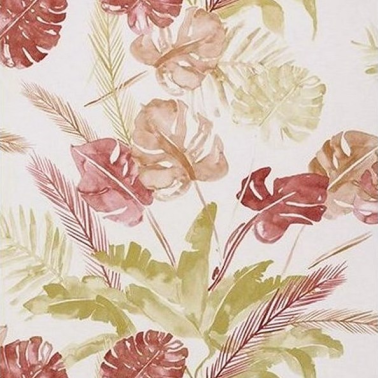 Papel Pintado Jungle - 4800024 - COORDONNE