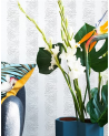 Papel Pintado Wild Stripes - 4800053 - COORDONNE