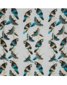 Tela F6797-02-Arini Sheer MATTHEW WILLIAMSON