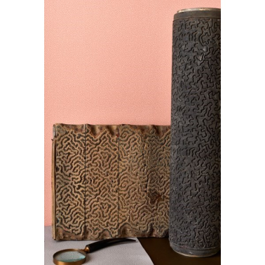 Coral 106-5064