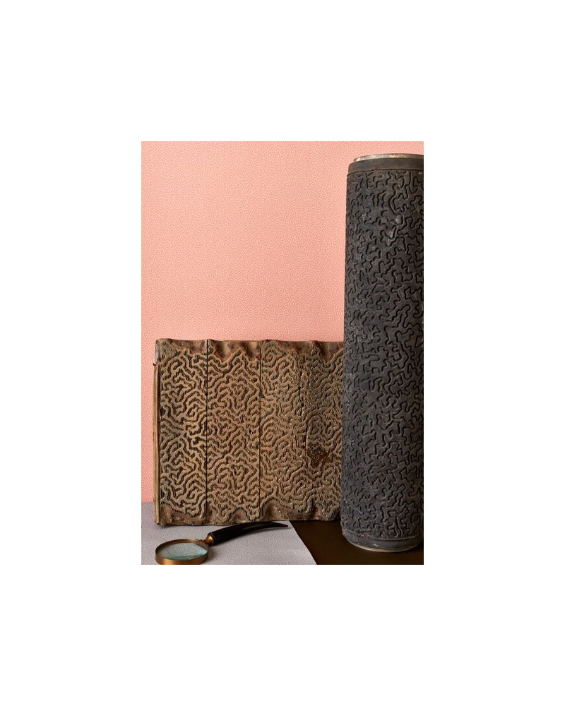 Papel Pintado Coral 106-5066 - COLE and SON