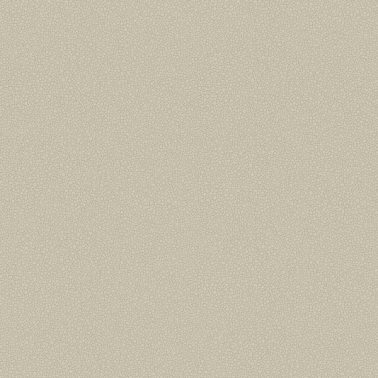 Papel Pintado Pebble 106-2019 - COLE and SON