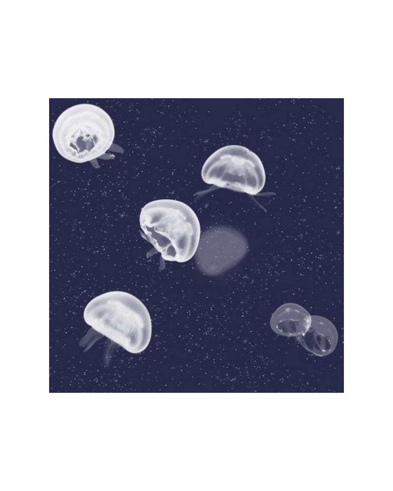 5800011 Jellyfish blue