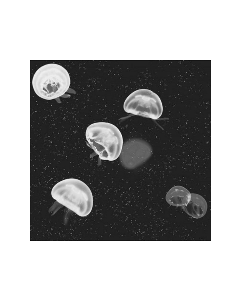 5800012 Jellyfish black