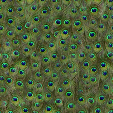 Papel Pintado 5800051 Peafowl Original - COORDONNE